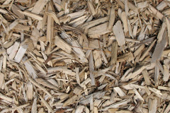 biomass boilers Shelford